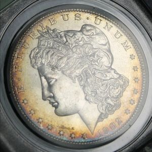 Meet your Posher, Donny